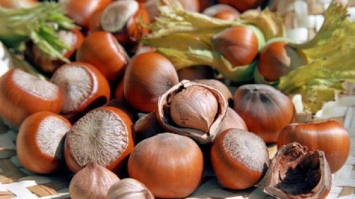 Alunele moldovenești în ciocolatele produse în Italia