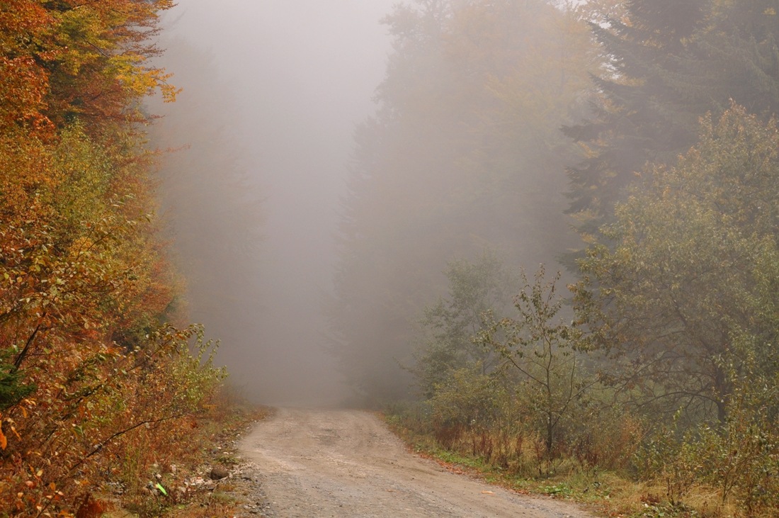 Detalii privind prognoza meteo puteți afla pe meteo.point.md.