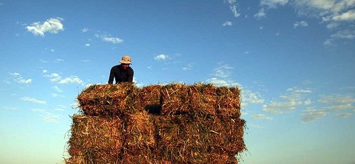 Фермеры надеются, что деньги поступят без задержек.