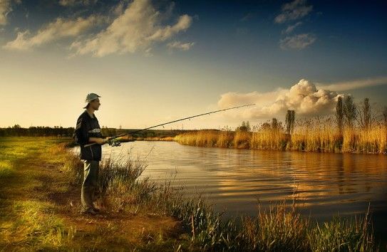 В Ниморень состоится второй Фестиваль рыбы.