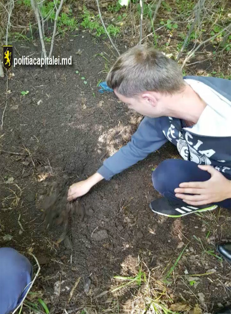 Деньги они потратили на развлечения и покупку мобильных телефонов последнего поколения.