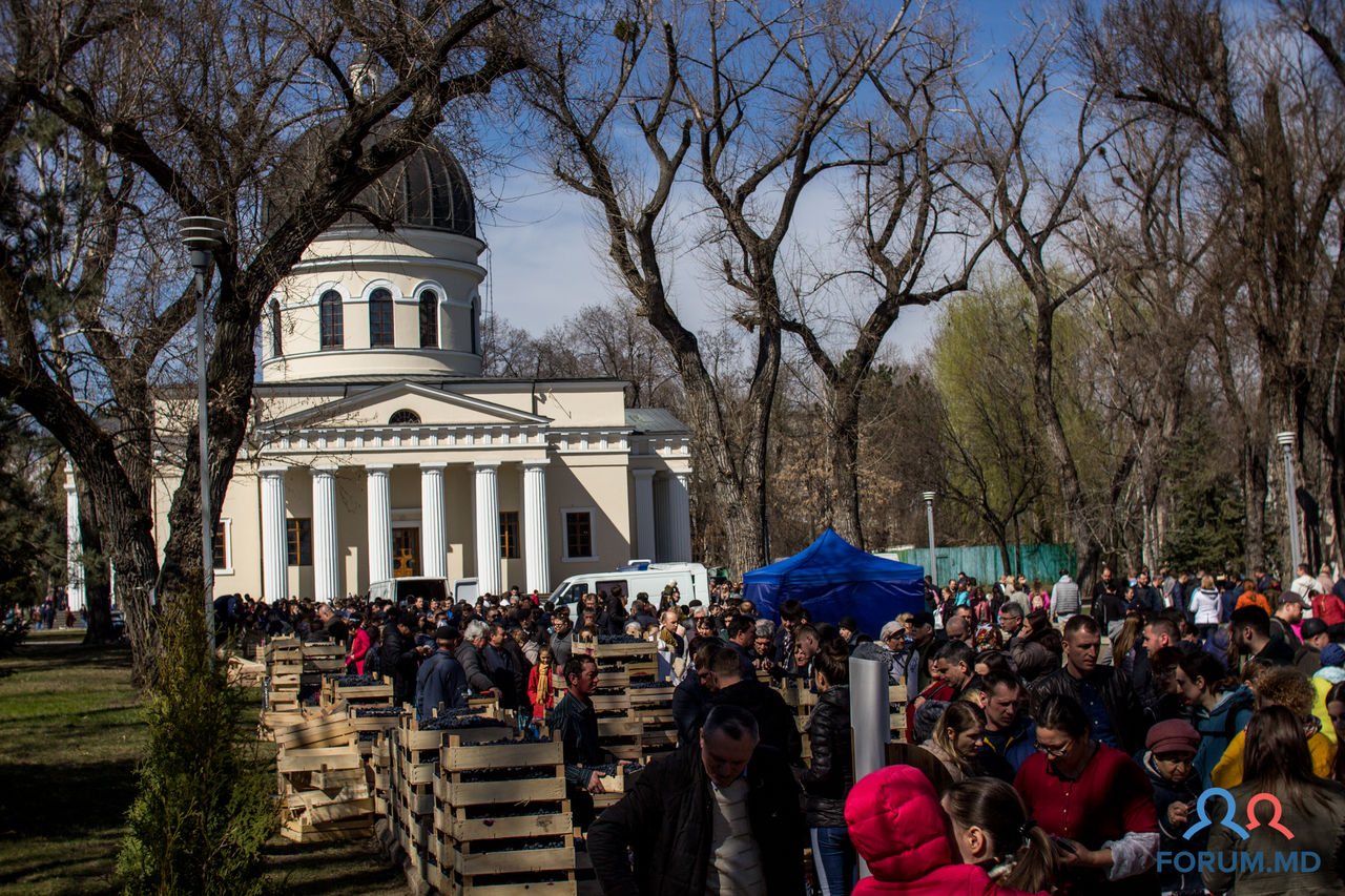 Челлендж #fructdinmoldova уже приносит плоды.