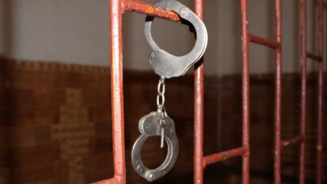 Власти региона обвинили мужчину в незаконной вырубке нескольких деревьев.