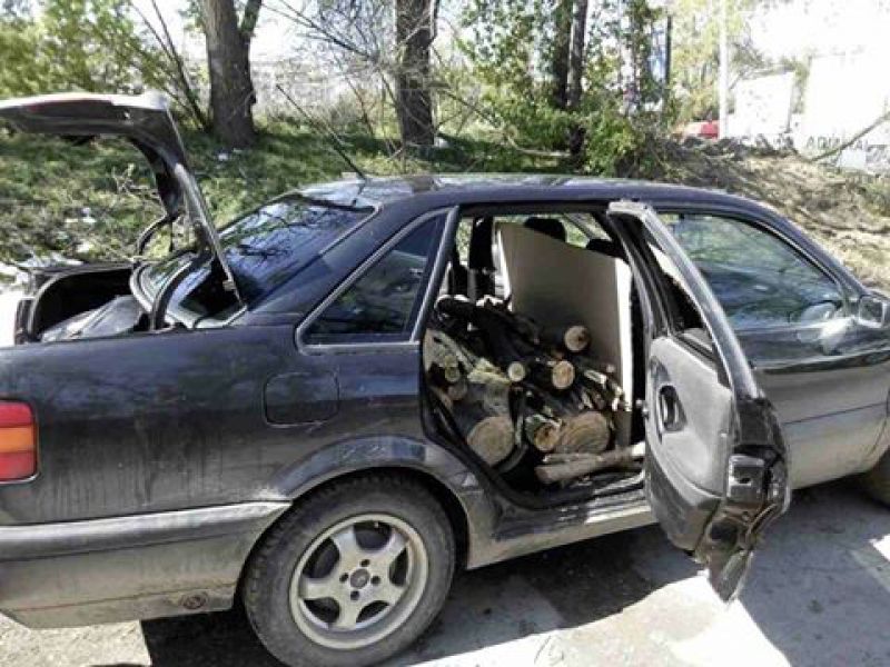 Profitorii stihiei. Defrișează arborii sănătoși, doar pentru a-și face rezerve de lemne. Foto unimedia