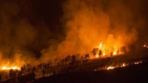 Doliu național trei zile în Portugalia în urma incendiilor mortale