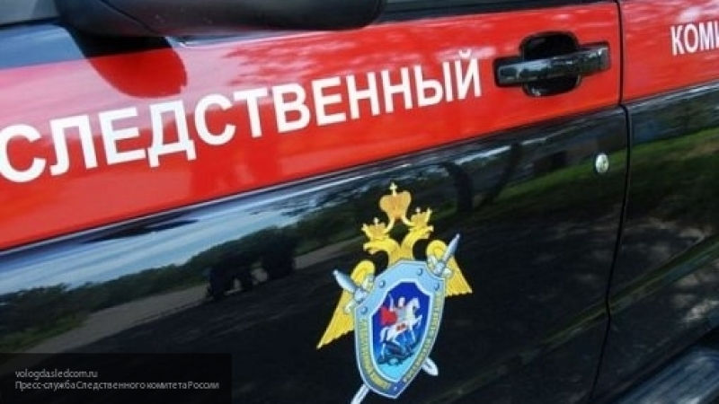 СК возбудил уголовное дело по статье: "Убийство матерью новорожденного ребенка".