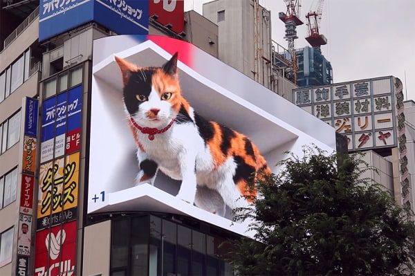 На стене японского торгового центра поселился гигантский 3D-кот.