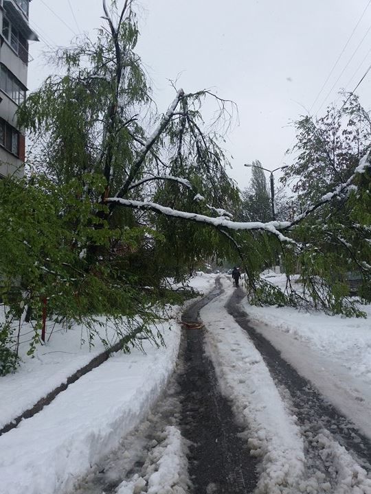No comment: Ce face un bărbat din Capitală în mijlocul dezastrului Foto simbol: facebook.com