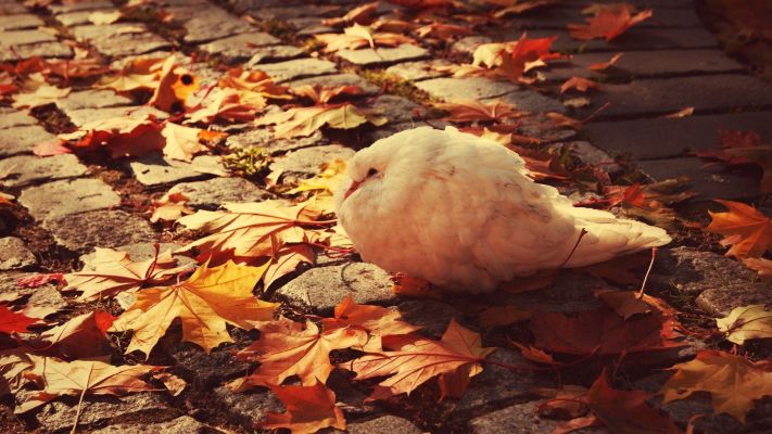 Cer variabil în acest weekend. Foto: gorjeanul.ro