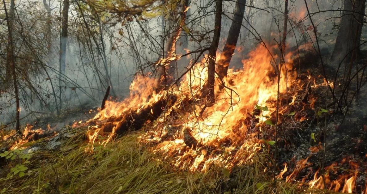 Эксперты ООН назвали главные угрозы для человечества.