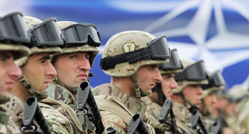 Experţi NATO acordă asistenţă pentru elaborarea Strategiei Militare a Republicii Moldova. Sputnik/ Georgy Bazaev