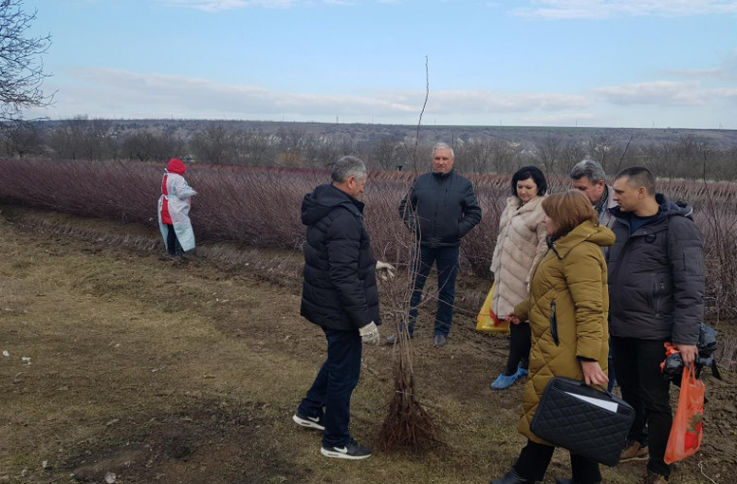 Mai multe plantații din Moldova, verificate de experți ruși