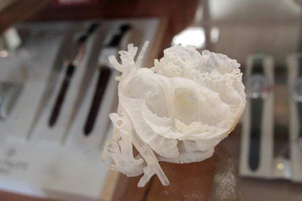 3D печатный фотополимерный прототип сердца для пациента Больницы и Клиник Университета Айовы.