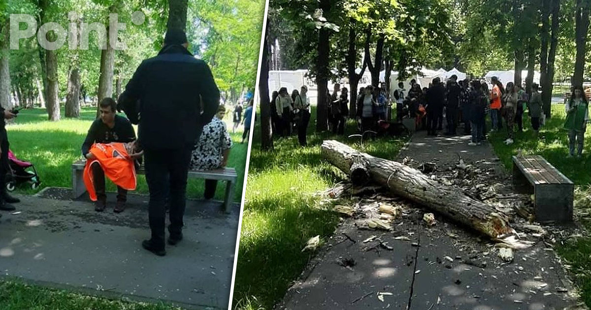 Tragedia din Parcul Alunelul: Maistrul de la Spații Verzi a primit o pedeapsă cu suspendare.