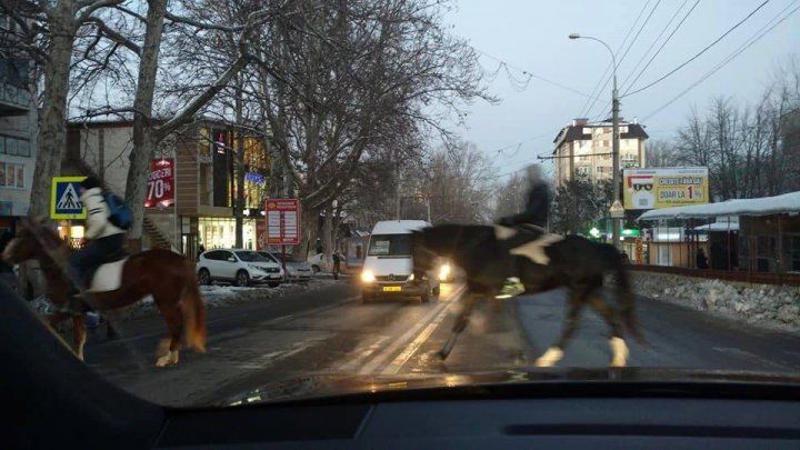 Trei tineri din Capitală au decis să ocolească ambuteiajele în orele de vârf, la galop.