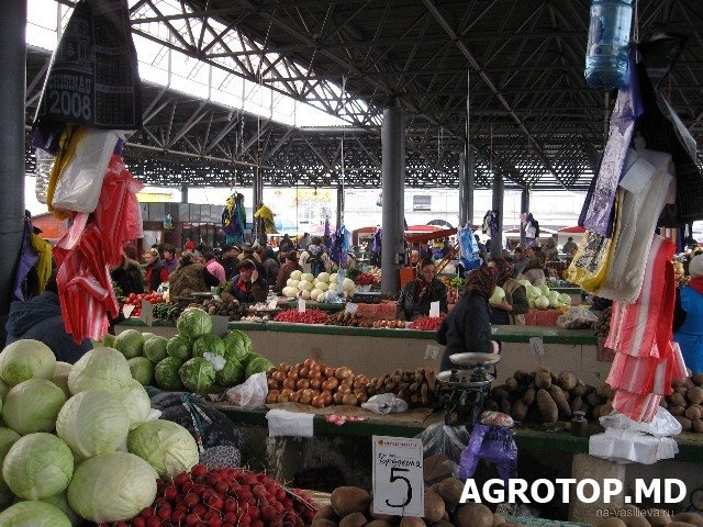Часть нарушителей отделалась штрафами. Фото: agrotop.md.