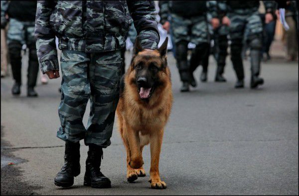 Все сообщения оказались ложными.