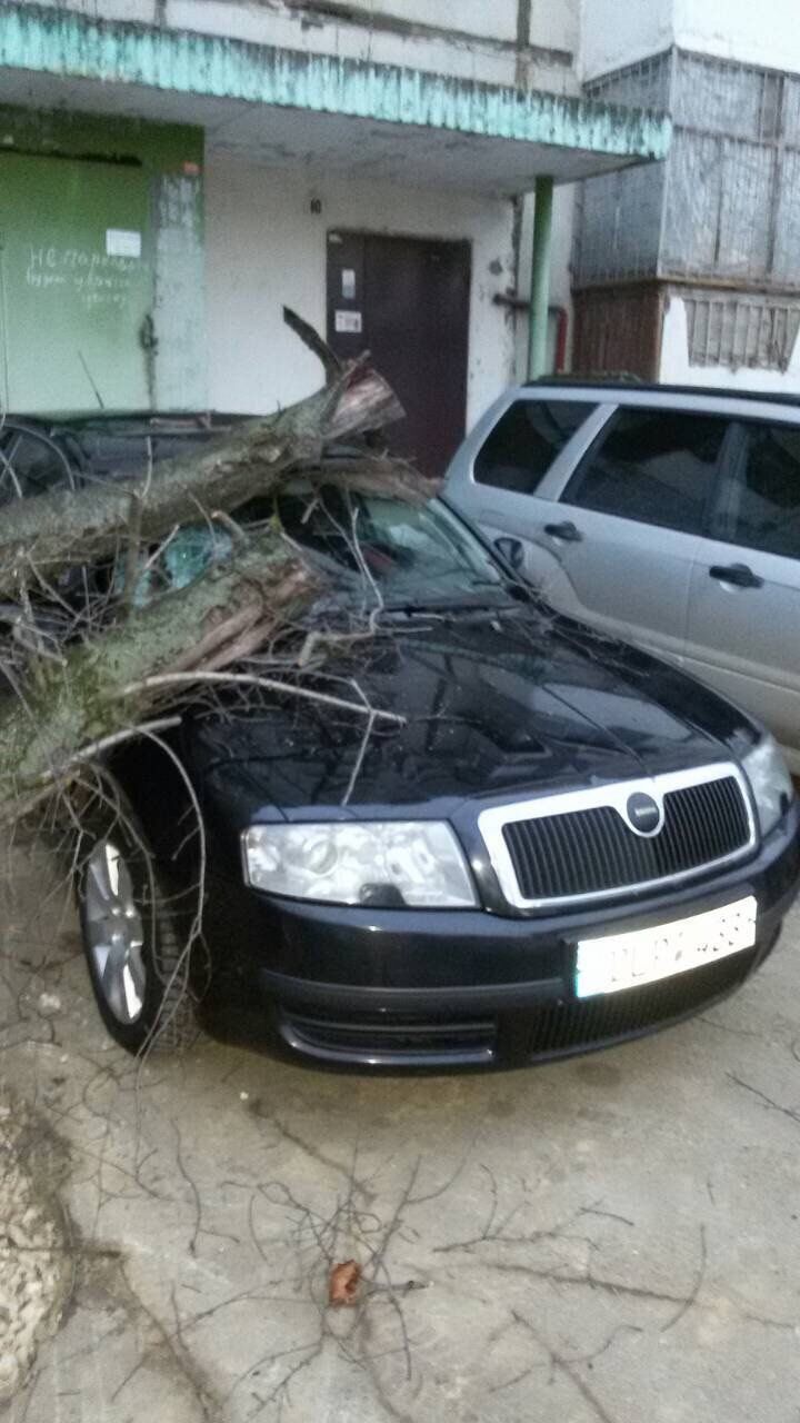 Maşină făcută zob în Capitală, după ce un copac a căzut peste ea