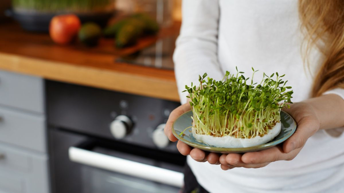 Cercetătorii au numit plantele care depășesc legumele obișnuite în cantitatea de vitamine.