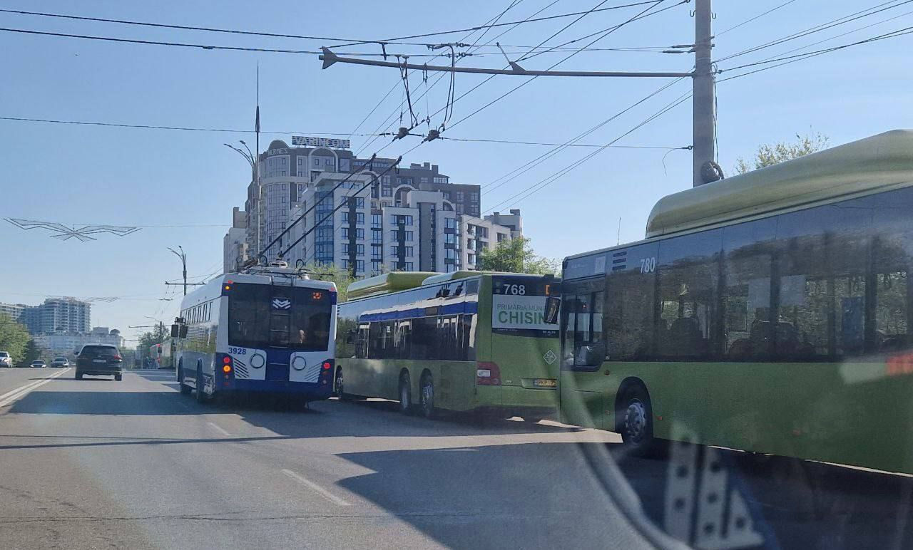 Около 50 тысяч человек воспользовались бесплатным транспортом.