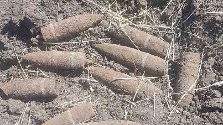 На поле в Каушанском районе нашли снаряды времен Второй мировой войны. Фото: publika.md.