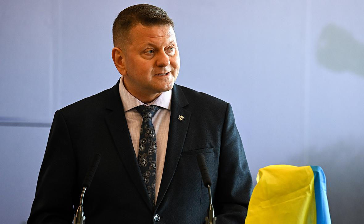Zalujnîi neagă din nou intenția de a participa la alegerile prezidențiale din Ucraina.