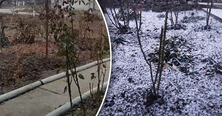 Зима не заставила себя долго ждать: в Каменке и Рыбнице выпал снег. Коллаж: Point.md