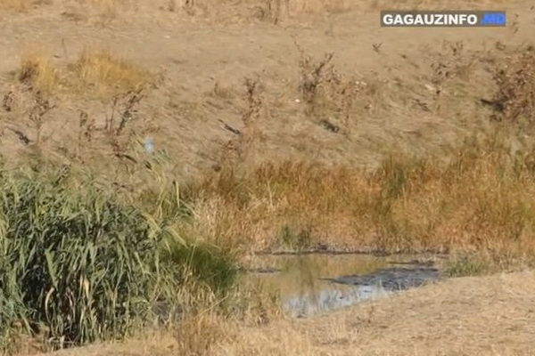 Экологическая экспедиция на севере и юге страны продлится до 23 июля.