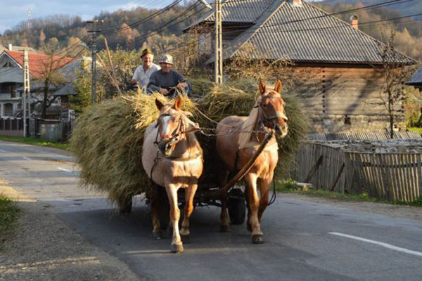 O atenție sporită va fi acordată consolidării economiei regionale și a infrastructurii turistice în regiunile de dezvoltare.