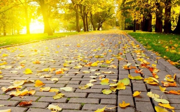 Meteo: Cer variabil şi ceaţă slabă. Cât de cald va fi. Foto: We Radio Sfantu Gheorghe
