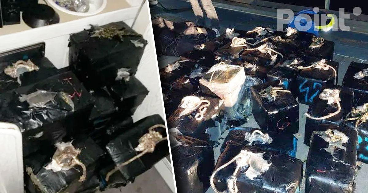 O rețea de contrabandă maritimă, destructurată în Franța pentru prima dată: 800 kg de cocaină, confiscate.