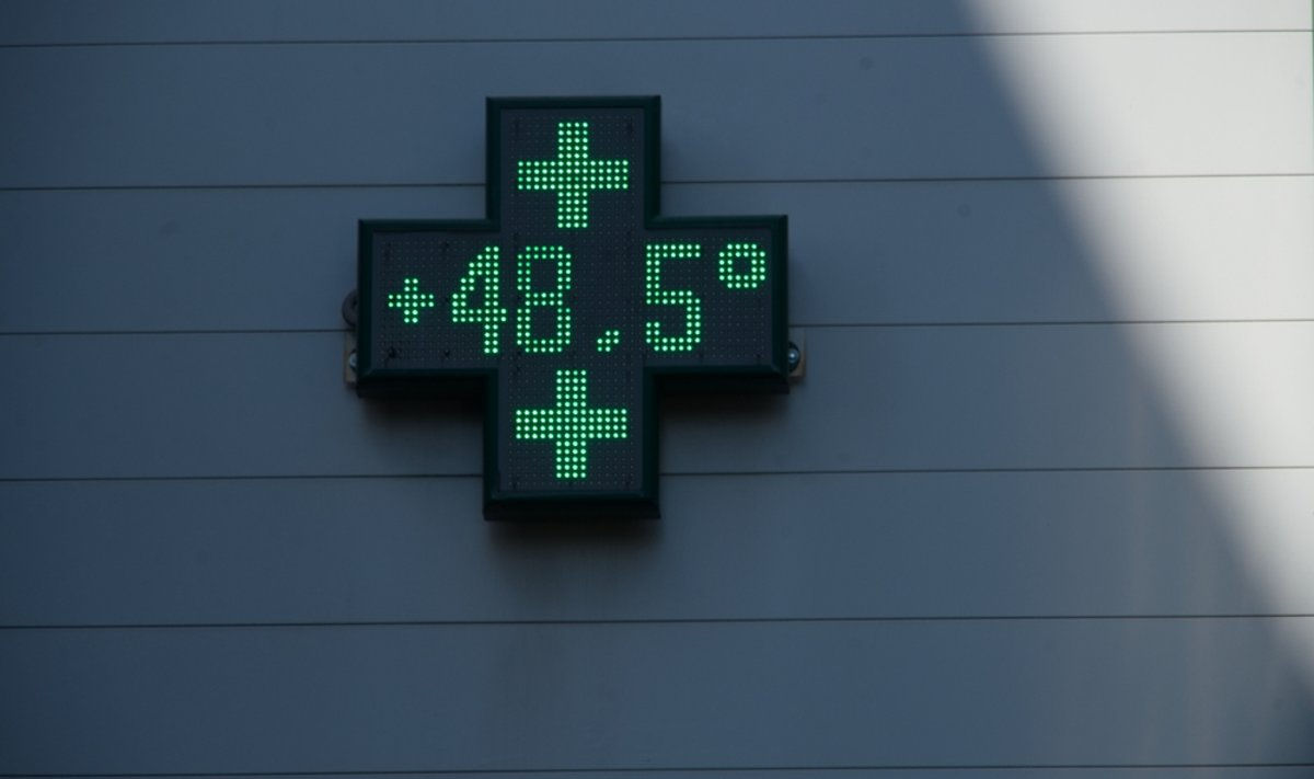 Изменение климата почти утроило число смертей от жары в городах Европы.