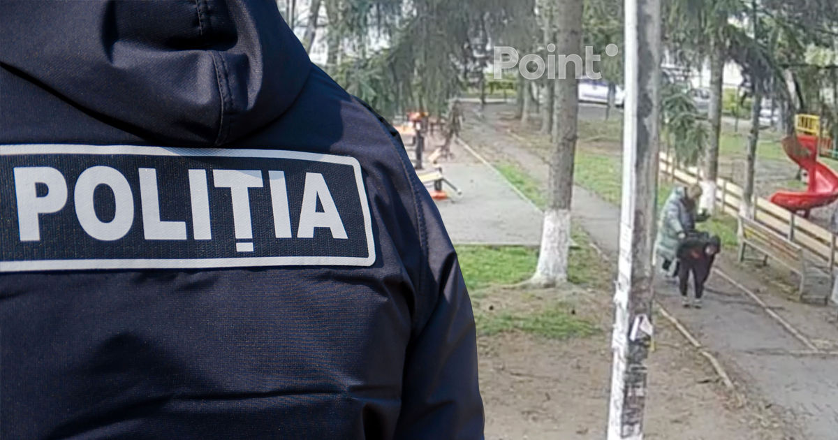 Полиция проведёт проверку после нападения стаи собак на ребёнка в Кишинёве.