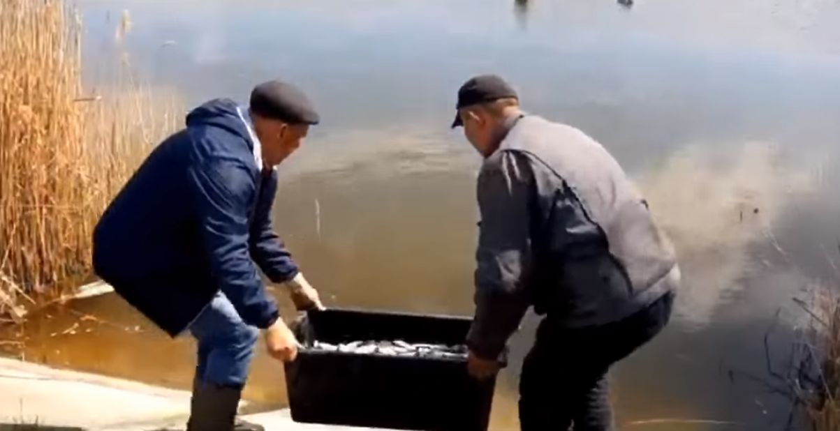 Толстолобики очистят бельцкое озеро.