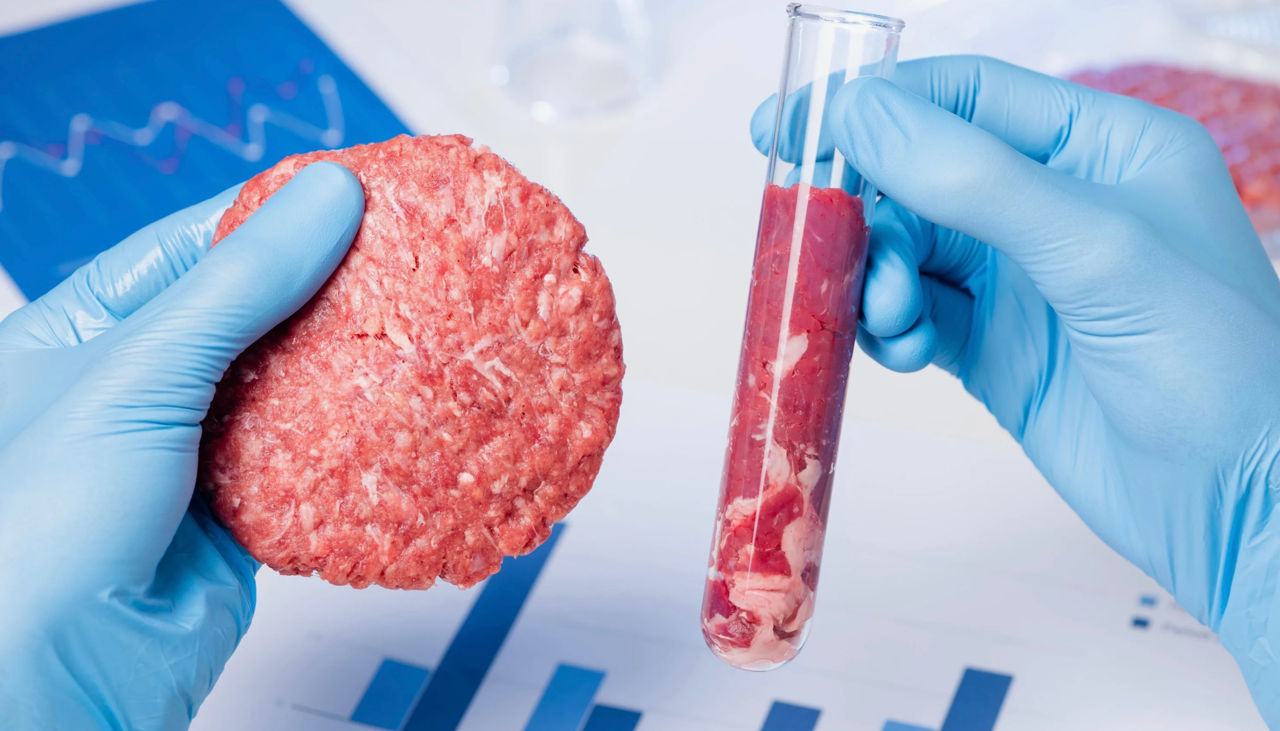 Savanții au creat carne de cultură care va fi adăugată în hrana animalelor.