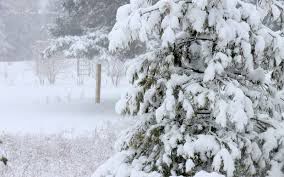 Cea mai mică temperatură a aerului, atestată vreodată în Moldova. Foto: OgNature.com