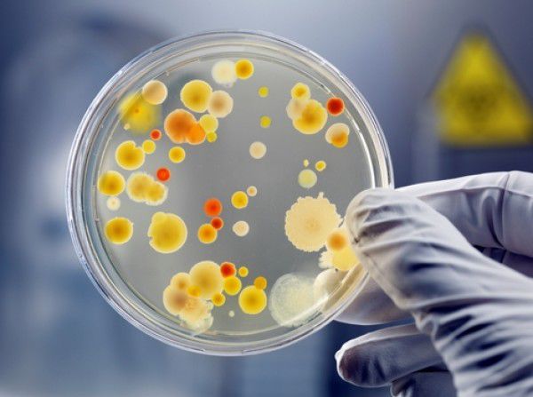 Смертельно опасная инфекция является «смесью» свиного и птичьего гриппа.