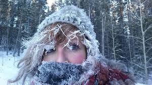 Аномально холодные зимы в Сибири связали с таянием арктических льдов.