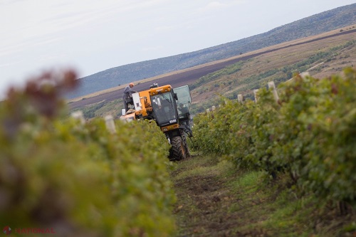 Marian Lupu a specificat că Planul economic al democraților acordă agriculturii un loc deosebit, venind cu idei care ajuta la creșterea investițiilor în agricultură și ajută concret agricultorii.