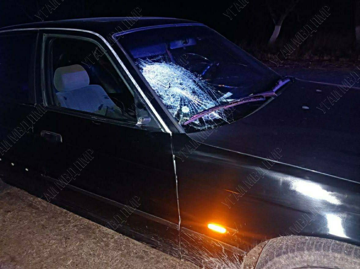 В Слободзейском районе сбили пешехода.