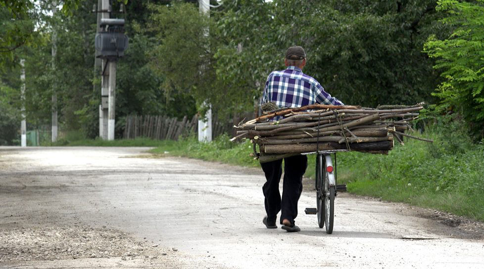 На севере страны участились случаи незаконной вырубки деревьев.