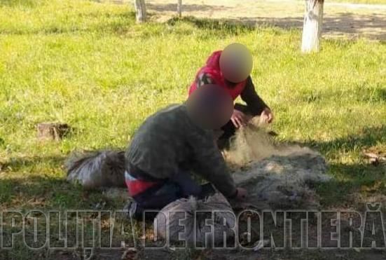 Пограничники поймали двух нарушителей, которые рыбачили в заповеднике