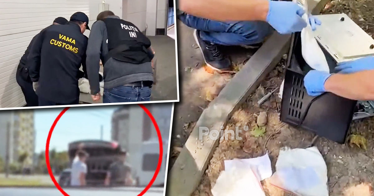 В Молдову пытались ввезти 3 кг «соли» в микроволновках.