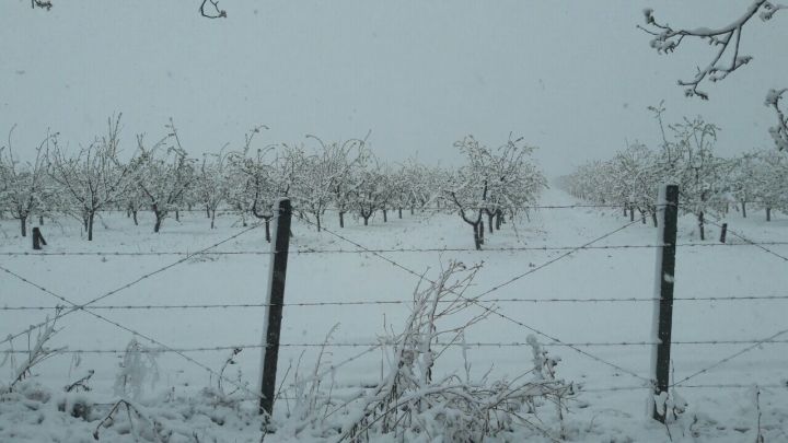 Prim-ministrul Pavel Filip a cerut o evaluare urgentă a pagubelor provocate de ninsorile din ultimele 24 de ore. 