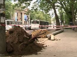 26 de arbori vor fi defrișați de pe bd. Ștefan cel Mare, între străzile Pușkin și Tighina. Foto: protv.md