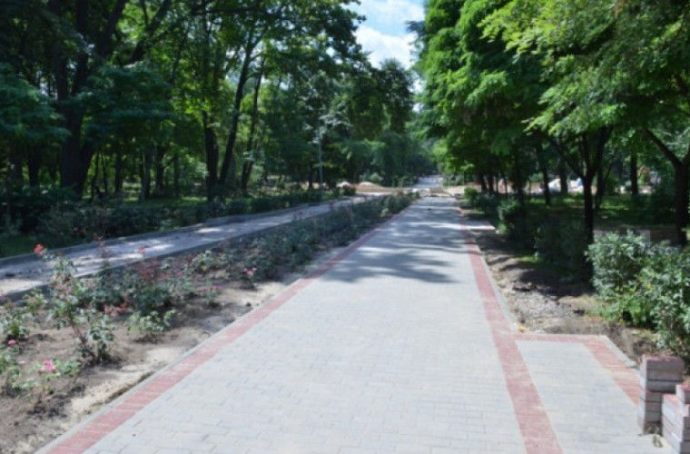 В парке "Алунелул" продолжается реконструкция.