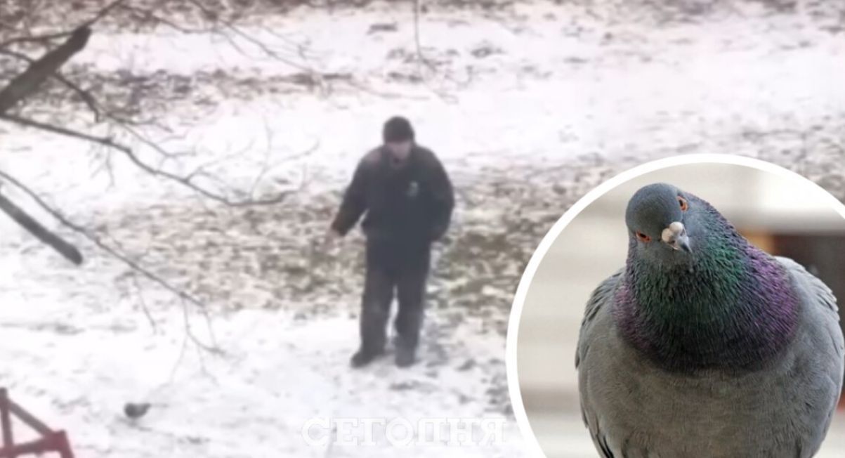 В Киеве сняли на видео, как мужчина выгуливал на поводке голубя.