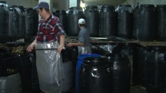 Murăturile şi conservele de legume nu sunt doar gustoase, dar pot fi şi o importantă sursă de bani.