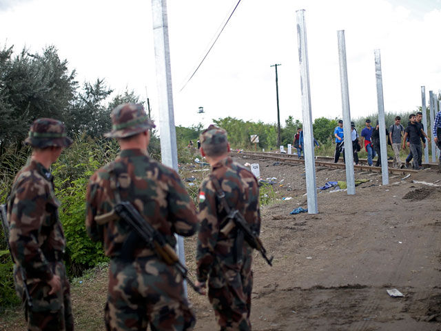 Венгрия стягивает военных к границе с Сербией, чтобы ее закрыть. Фото:  Reuters