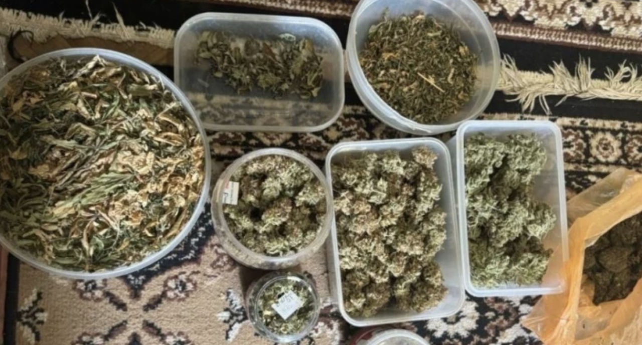 Laborator modern de canabis, destructurat la Vadul lui Vodă.